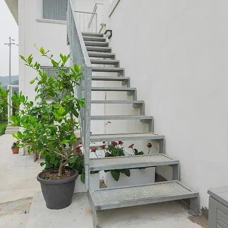 Artistica Con Piscina E Giardino *