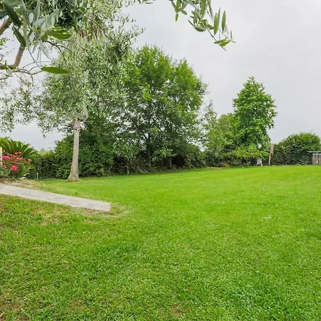 Artistica Con Piscina E Giardino Gherardi
