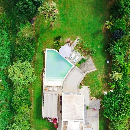 Artistica Con Piscina E Giardino Gherardi