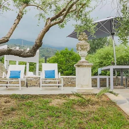 Artistica Con Piscina E Giardino Gherardi